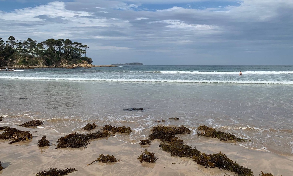 Denhams Beach House | Minutes walk to sheltered Denhams Beach