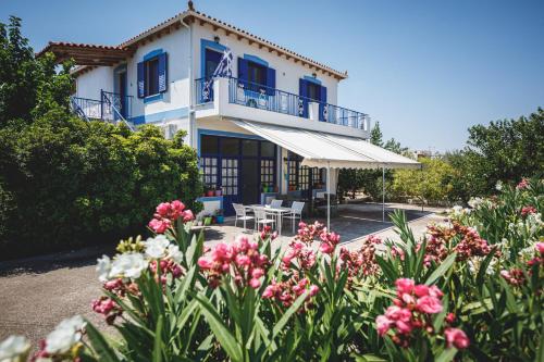 Plepi Apartment | Natalia's Stay