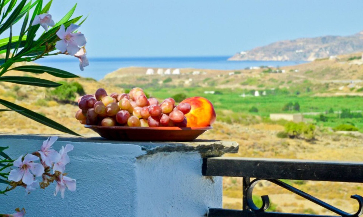 Engarai Apartment | Naxos Agrotouristic studio in a quiet village