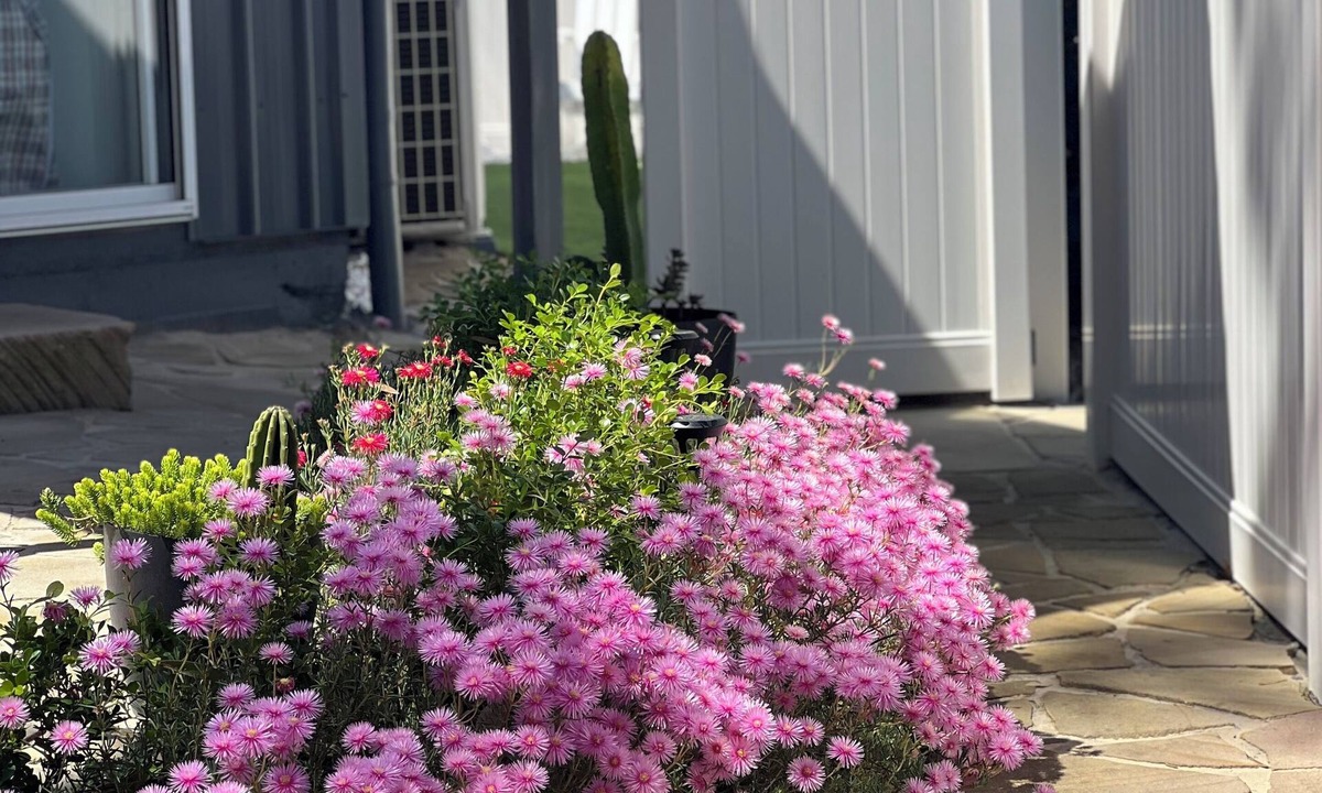 Anna Bay House | NEW 2 bed, walk to everything!