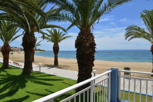 Gerakini Hotel | Olympion Beach Hotel