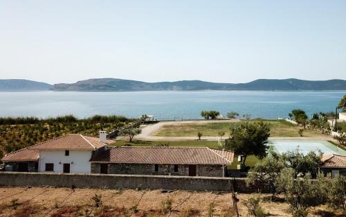 Plepi Villa | OpenSea Villa