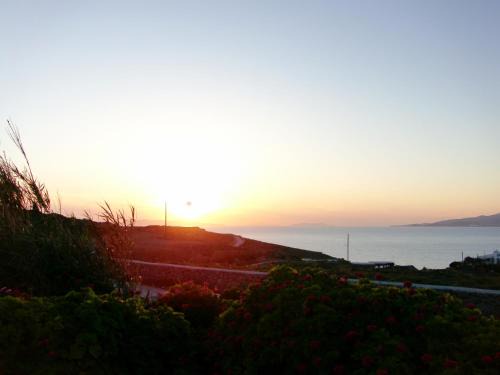 Agios Stefanos Hotel | Panorama Hotel