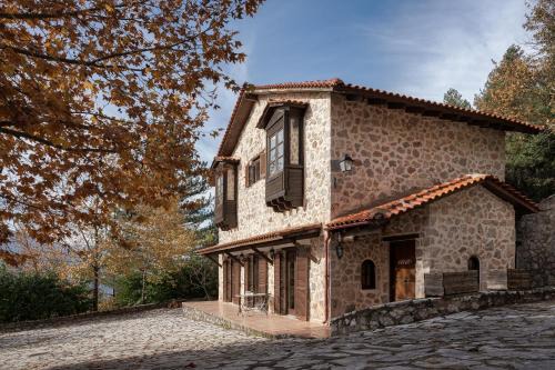 Amfikleia-Elateia Ski Chalet | Parnassus Woodstone Chalets- N1- N2- N3