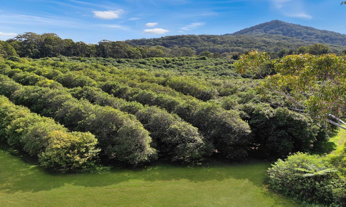 Valla House | Peaceful retreat with scenic views and serenity