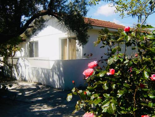 Kolymbia Apartment | Pension Zoi