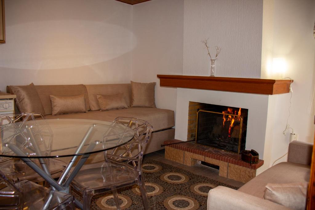 Karpenisi Apartment | Private House, Miriki Village