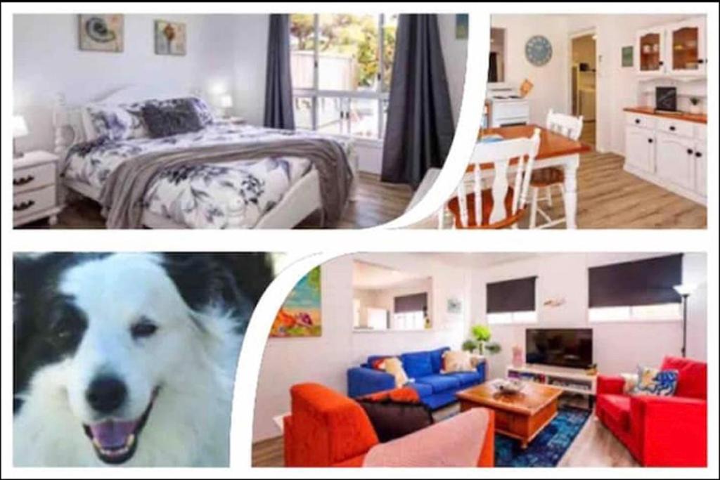 Innes Park Apartment | Puppies & Pancakes- King Bed Opposite Beach&Park