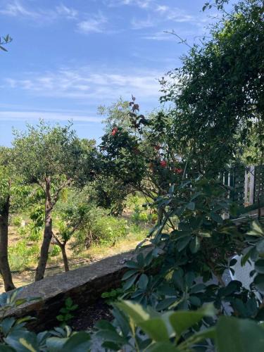 Armenistis House | Relax and enjoy