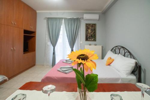 Igoumenitsa Apartment | RIRIKA APARTMENT