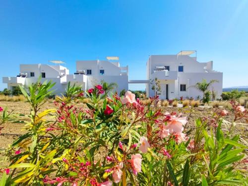 Kefalos Villa | Saint Nicholas Houses
