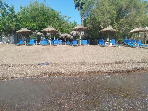 Agios Andreas Apartment | Sarantakis Apartments