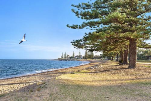 Scarborough Beach Resort | Scarborough