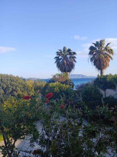 Karystos Apartment | Scenic Coastal Getaway