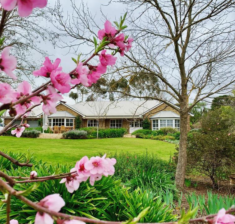 Seppeltsfield House | Seppeltsfield Vineyard Retreat - 3 Bedroom Holiday Home