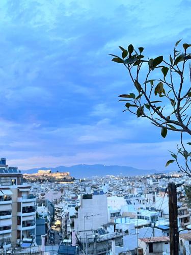 Dafni House | sky inn with wonderful Acropolis view in Neos kosmos