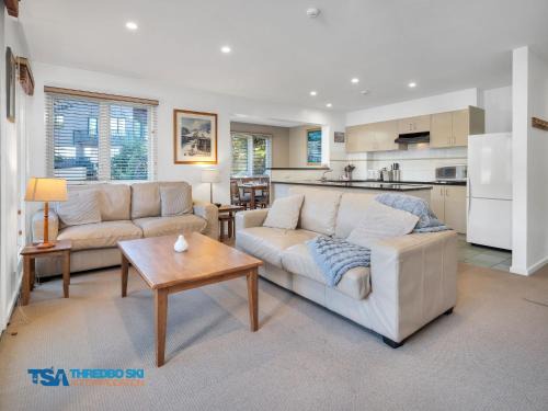 Thredbo Ski Chalet | Snowman 2