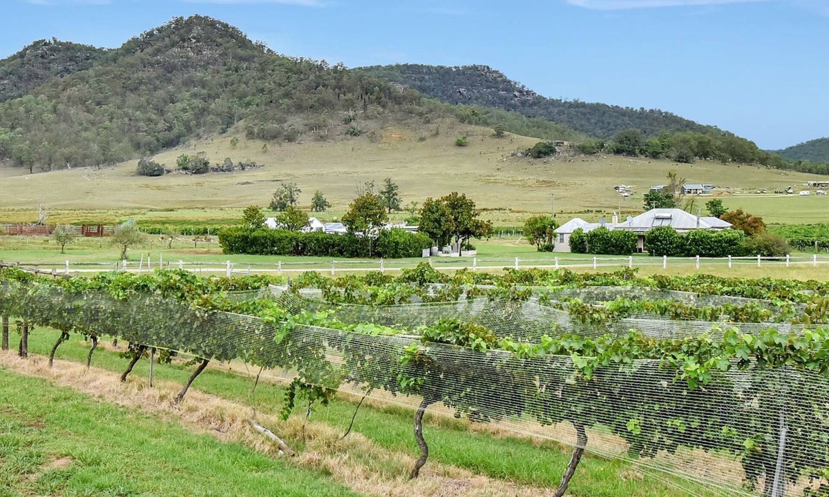 Somerville Wines Farm | Broke