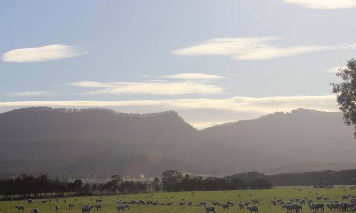 St Marys Hotel | St Marys Hotel and Bistro