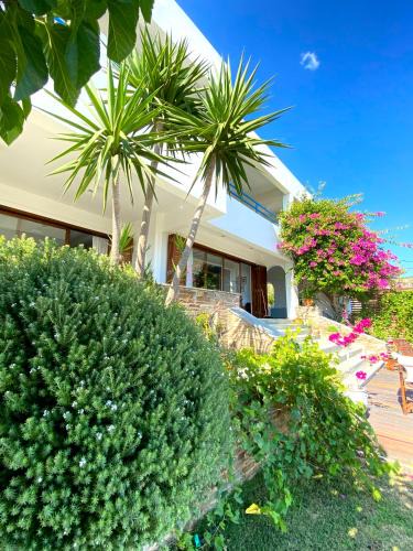 Karystos House | Svolis Beachhouse - Villa Set in a Beautiful Bay