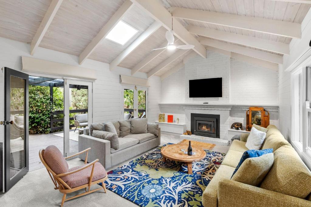 Ocean Grove House | Tawny frog mouth in the trees