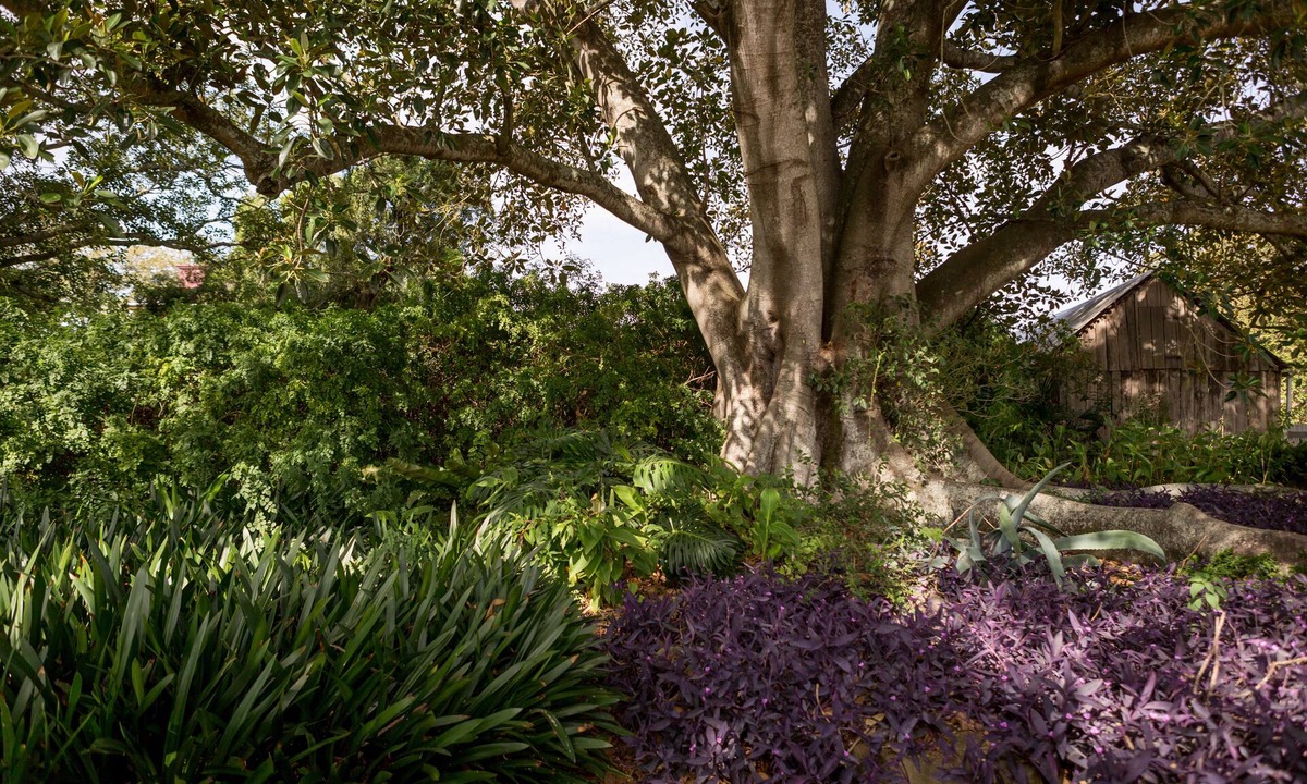 Paterson Bed & Breakfast | The Barracks Tocal