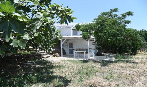 Tinos Town House | The stone