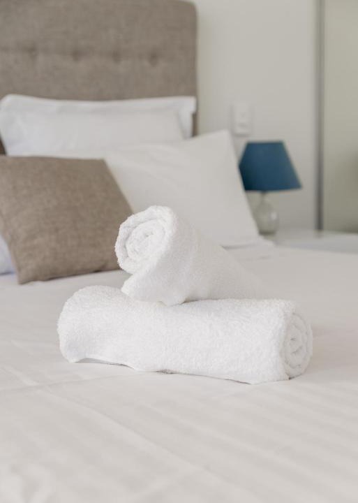 Walkerville Apartment | Ther-Rich Elegant 1BR Apartment in Walkerville