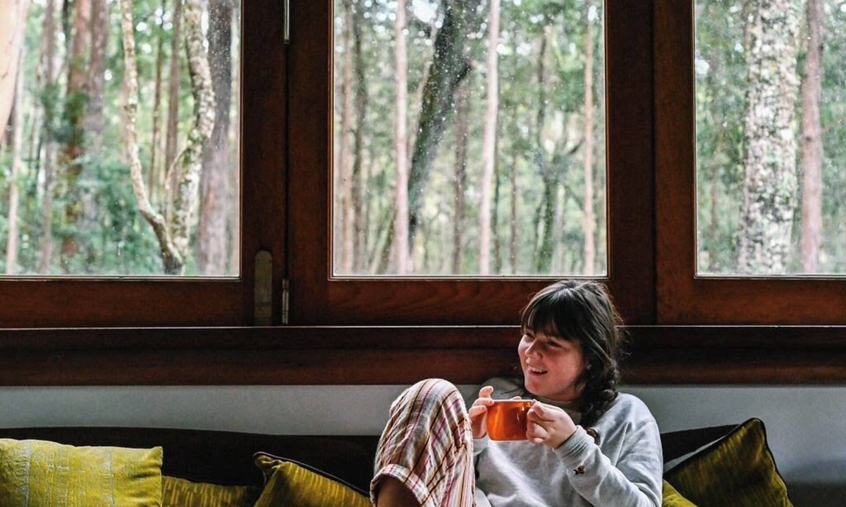 Salisbury Cabin | Treetops - Your Rainforest RetreatnnSurround yourself with nature.