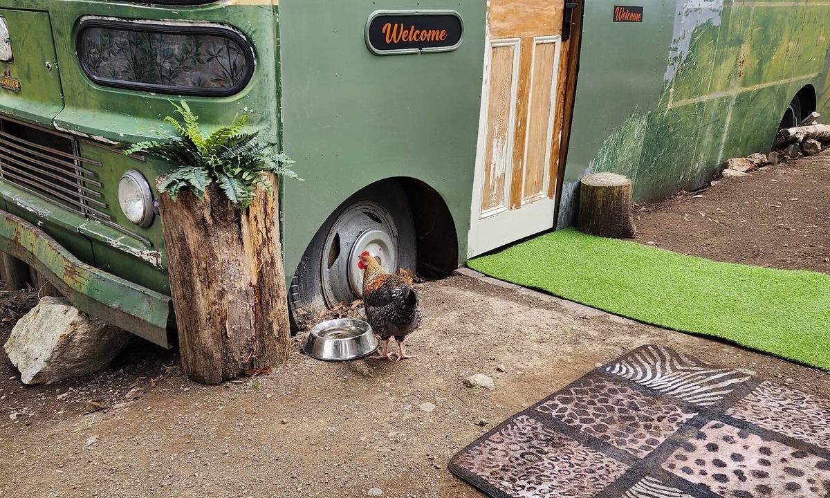 Southern Apartment | Unique, Exciting Bus Located on 63 acres with a Cosy woodheater. Luxury.