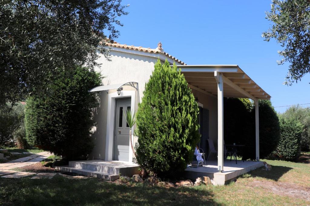 Plepi House | Vassia 2