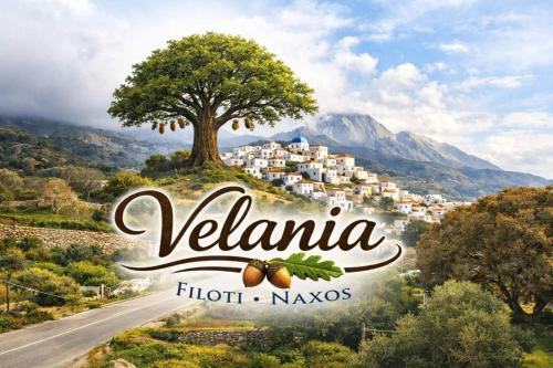 Filoti Apartment | Velania House 2
