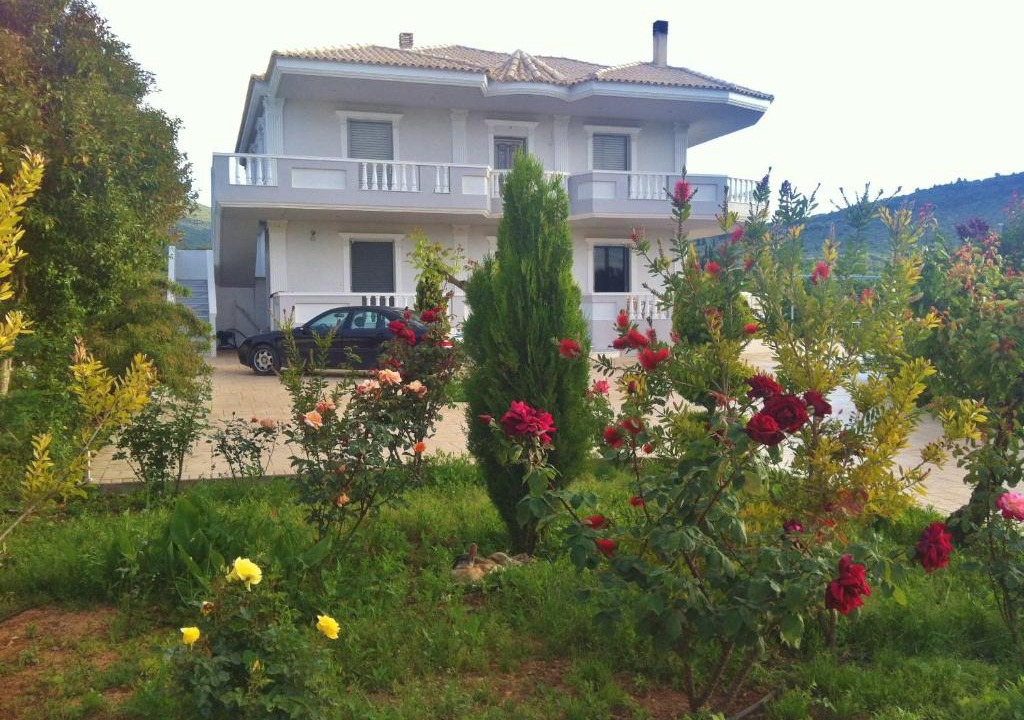 Athikia Villa | Villa Georgia With Pool