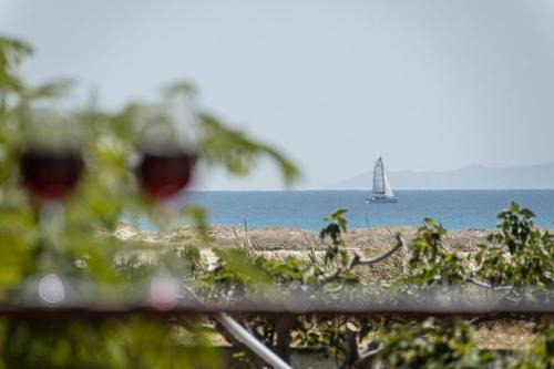 Mikri Vigla Villa | Villa Grevillea Mikri Vigla
