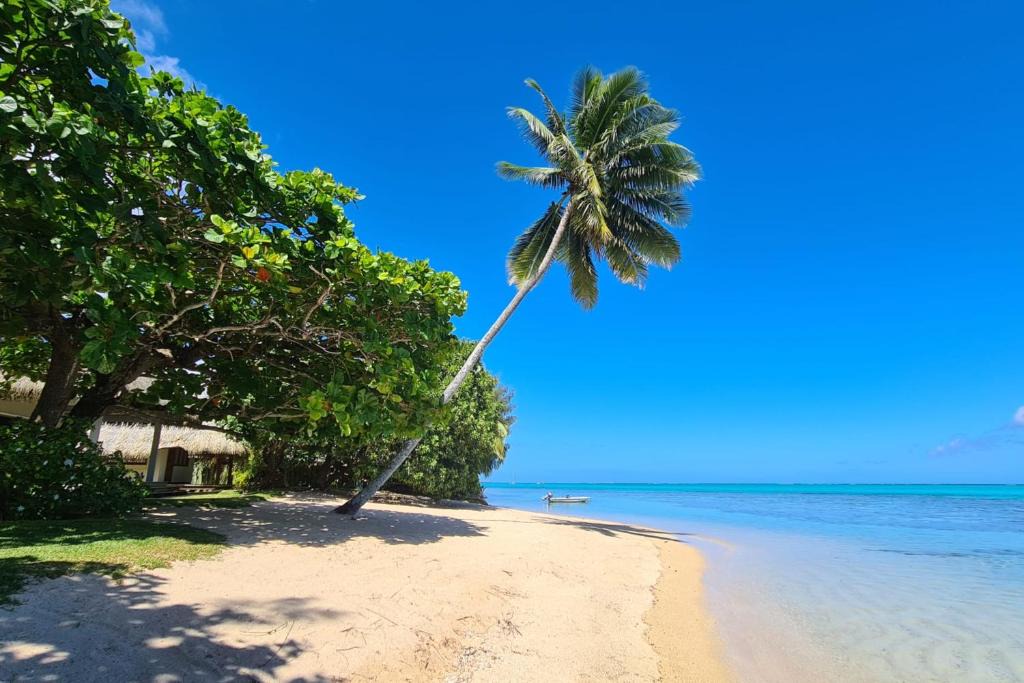 Otumai Villa | Villa Meheana
