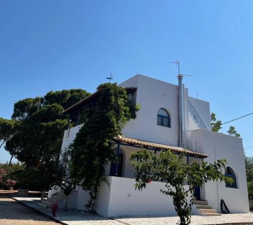 Agrilos Villa | Villa Messinia