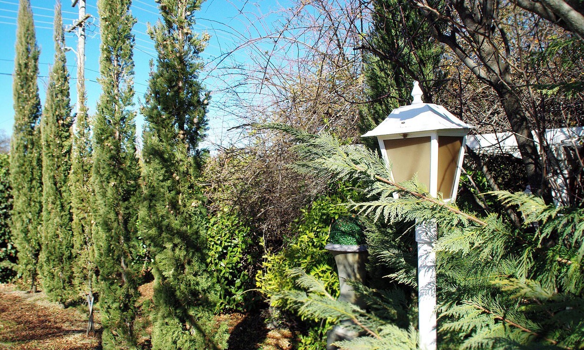 Armidale Hotel | White Lanterns Motel