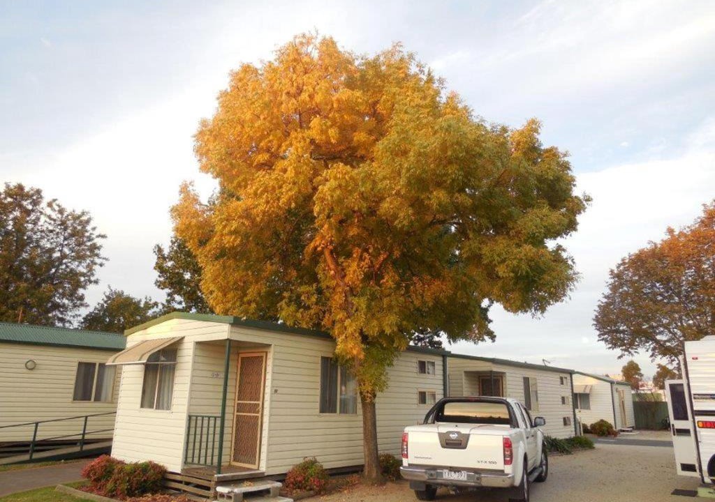 Albury Resort | Wodonga Caravan & Cabin Park