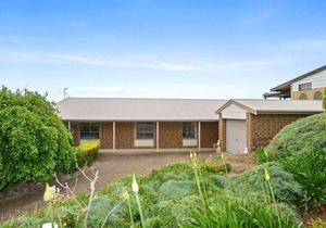10 Clive Ave - Waterviews