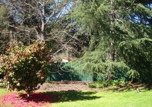 Ageri Holiday House