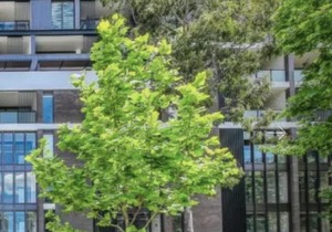Apartment CBD - Harris St 6