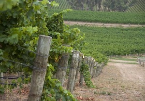 Barristers Block Vigneron Villa