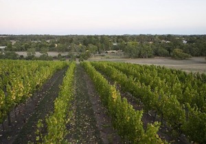 Barristers Block Vigneron Villa