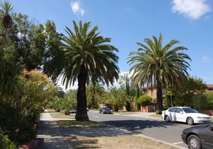 Blackburn Holiday Apartment 5