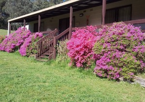 Cabin 2- Emerald Park