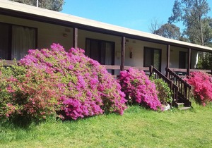 Cabin 2- Emerald Park