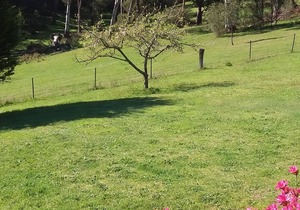 Cabin 3-Emerald Park