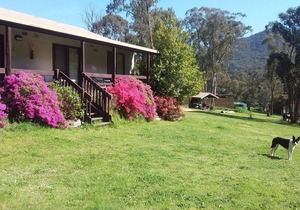 Cabin 3-Emerald Park