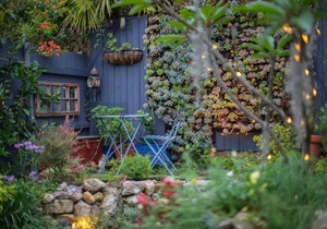 Charming 2 Bedroom Victorian Cottage in Rozelle
