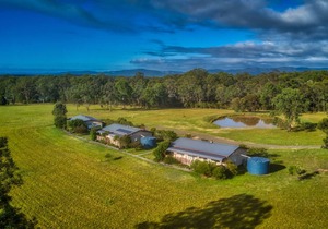 Cottages on Lovedale - No. 1 (2 bedroom) - 2 bedroom, 2 bathroom cottage in sensational Lovedale location